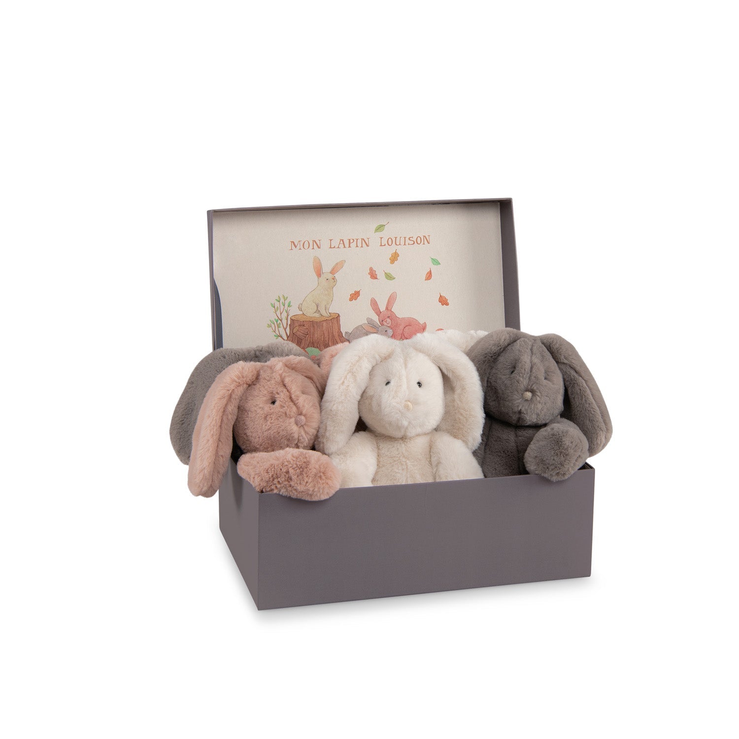 PELUCHE CONIGLIO MOULIN ROTY