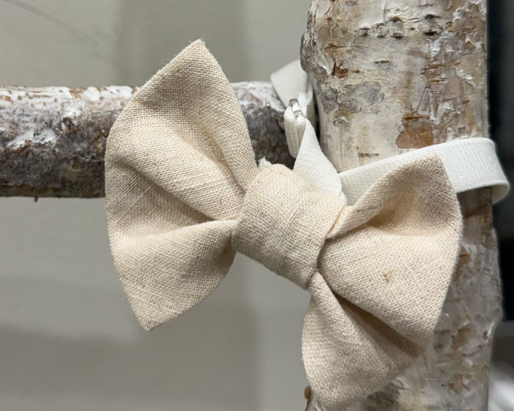 PAPILLON IN LINO NALU'